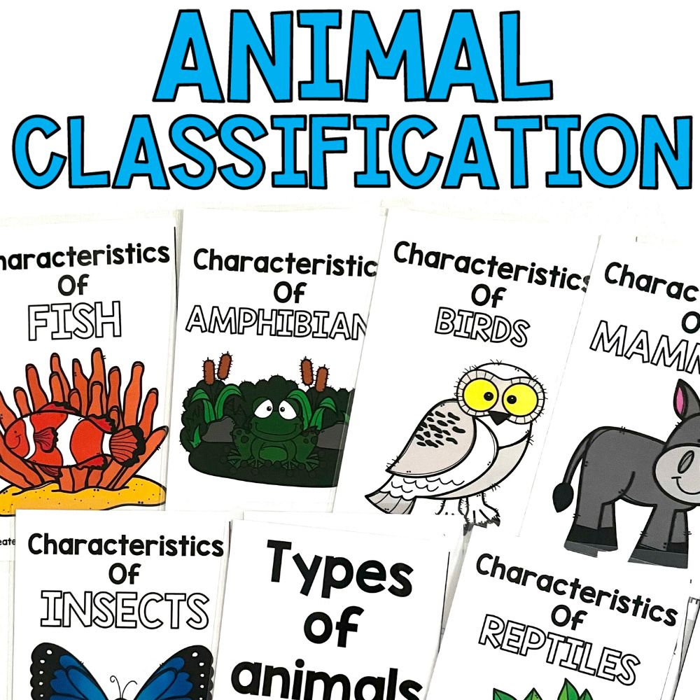 animal classification cover