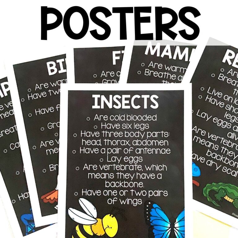 animal classification posters