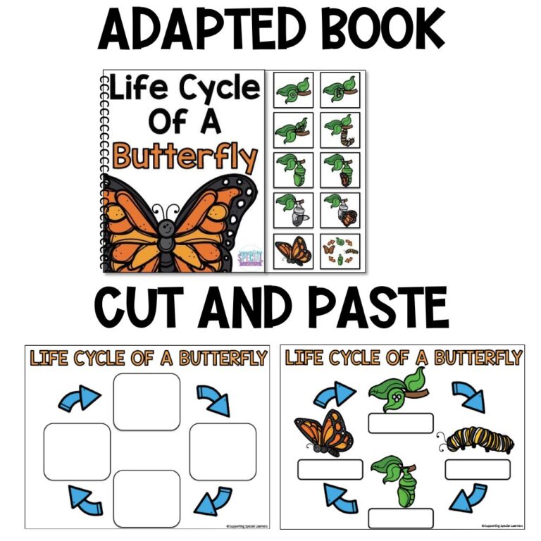 butterfly life cycle activities adapted book and cut and paste