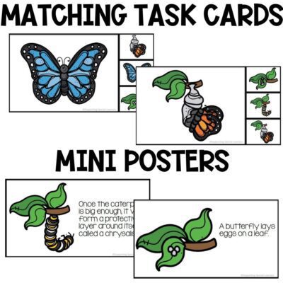 butterfly life cycle activities matching task cards and mini posters