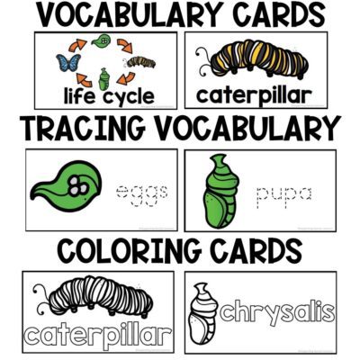 butterfly life cycle activities vocabulary, tracing and coloring cards