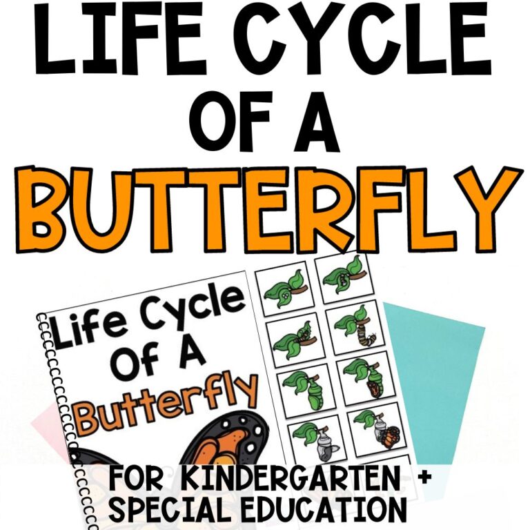 butterfly life cycle activities cover