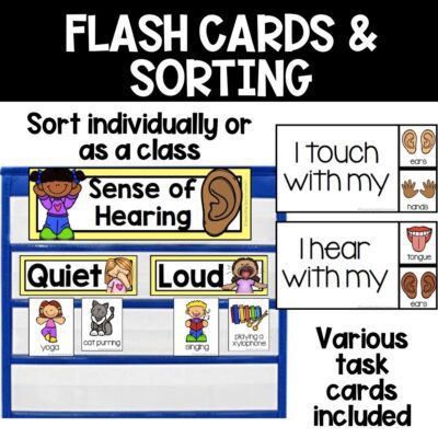 5 senses science unit flash cards and sorting