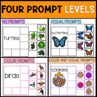 non-identical sorting activities four prompt levels