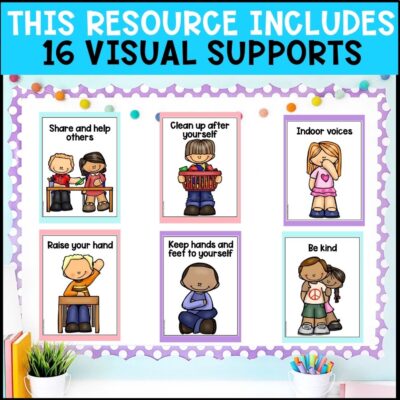 visuals and behavior supports inclusions