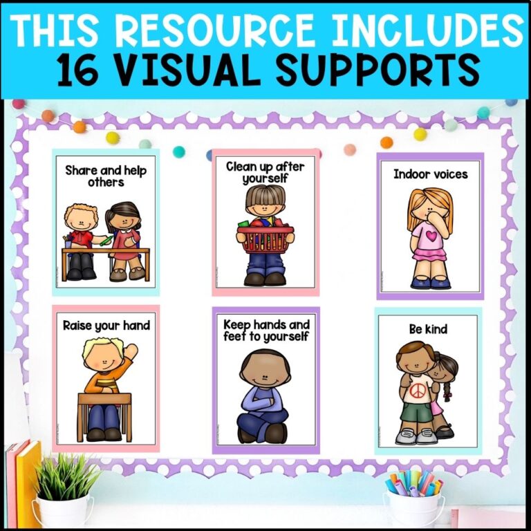 visuals and behavior supports inclusions