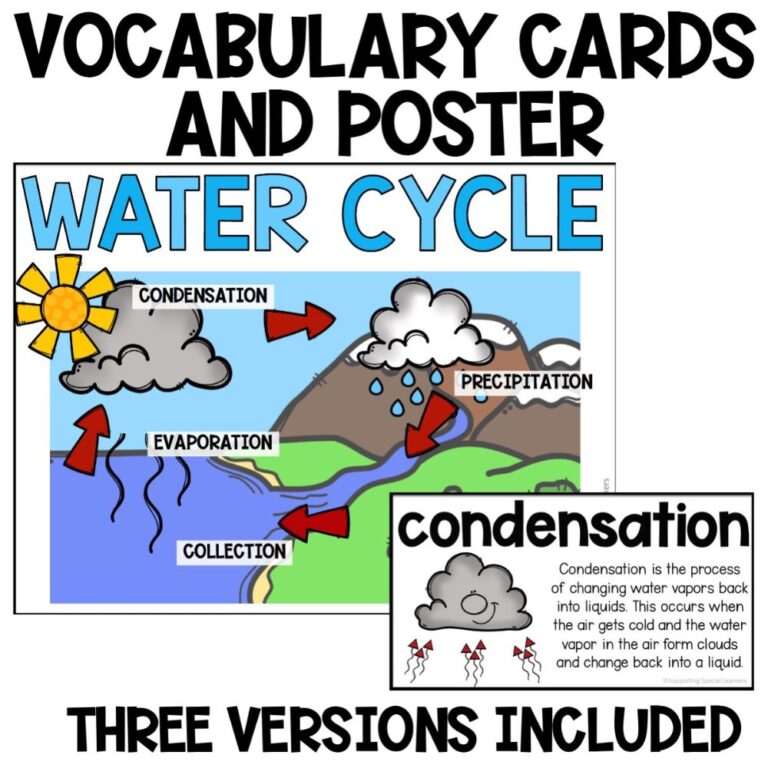 the water cycle activities vocabulary cards and poster