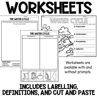 the water cycle activities worksheets